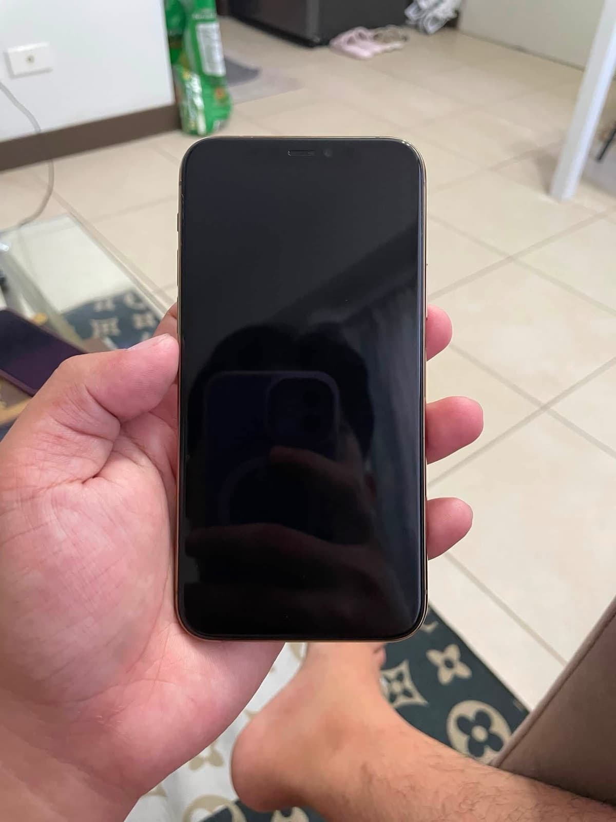 iPhone 11 Pro · 256GB