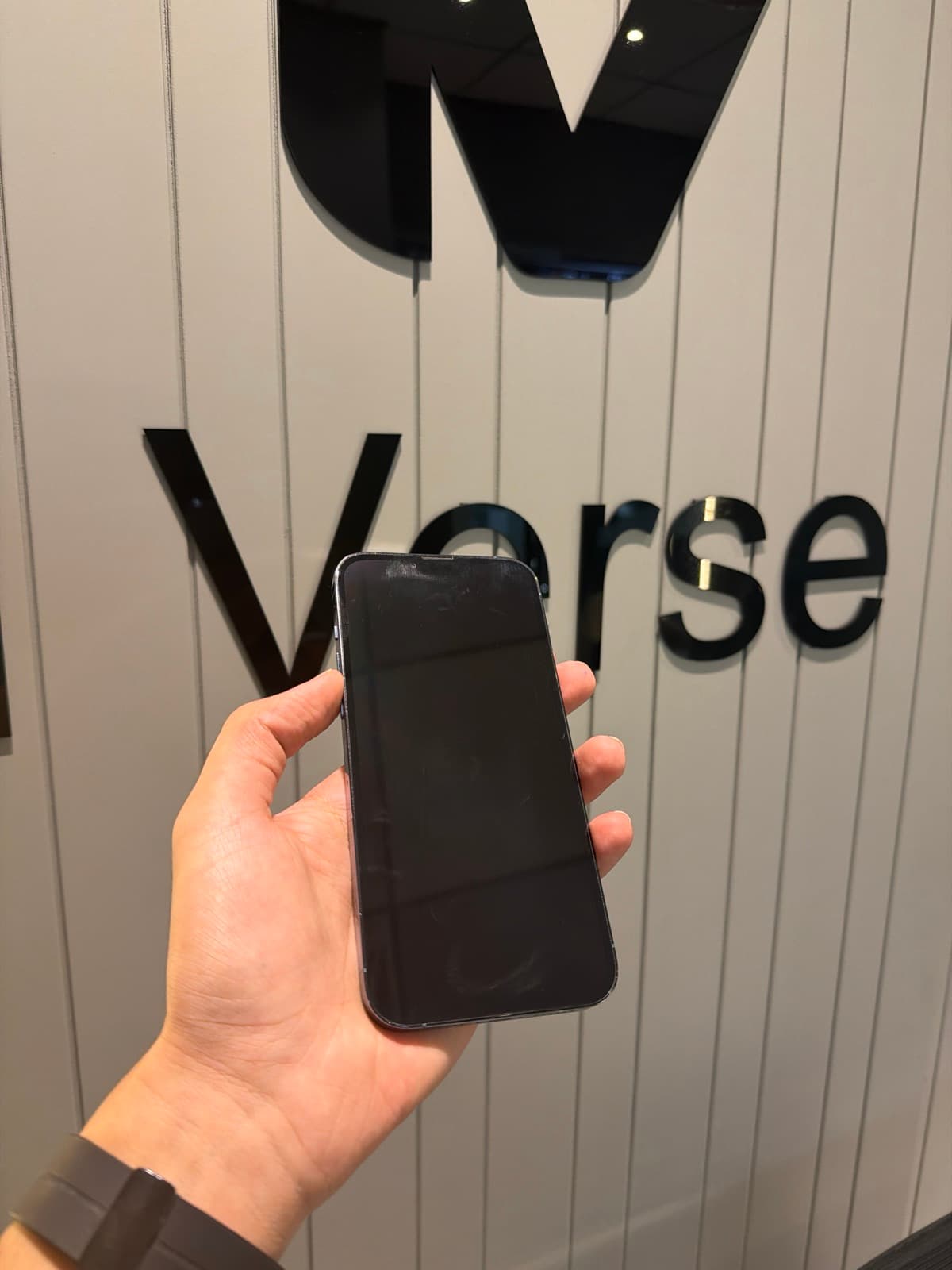 Apple iPhone 13 Pro Max 256GB in Sierra Blue — photo 4
