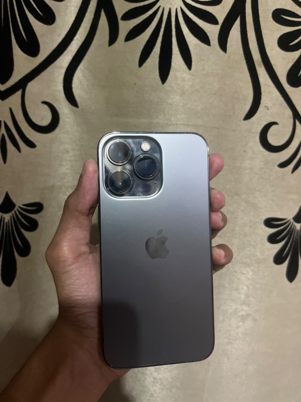 iPhone 13 Pro · 256GB