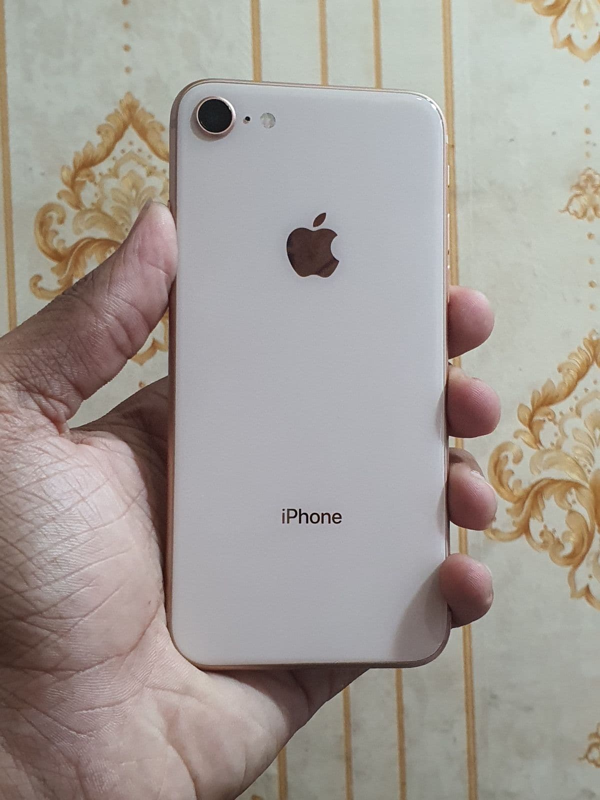 iPhone 8 · 256GB
