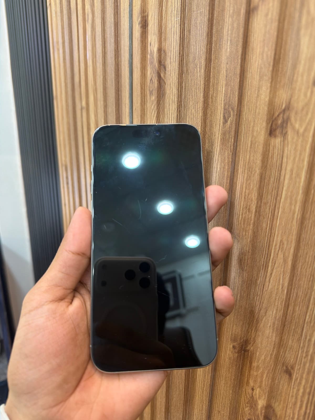 iPhone 15 Pro Max · 256GB