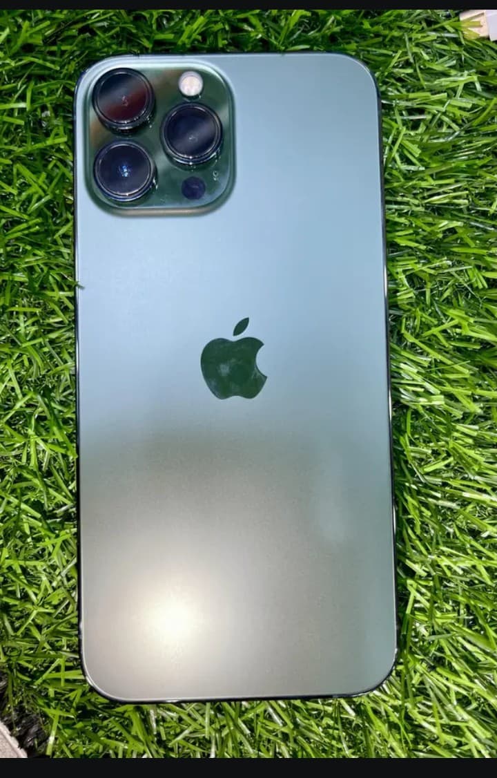 iPhone 13 Pro Max · 256GB