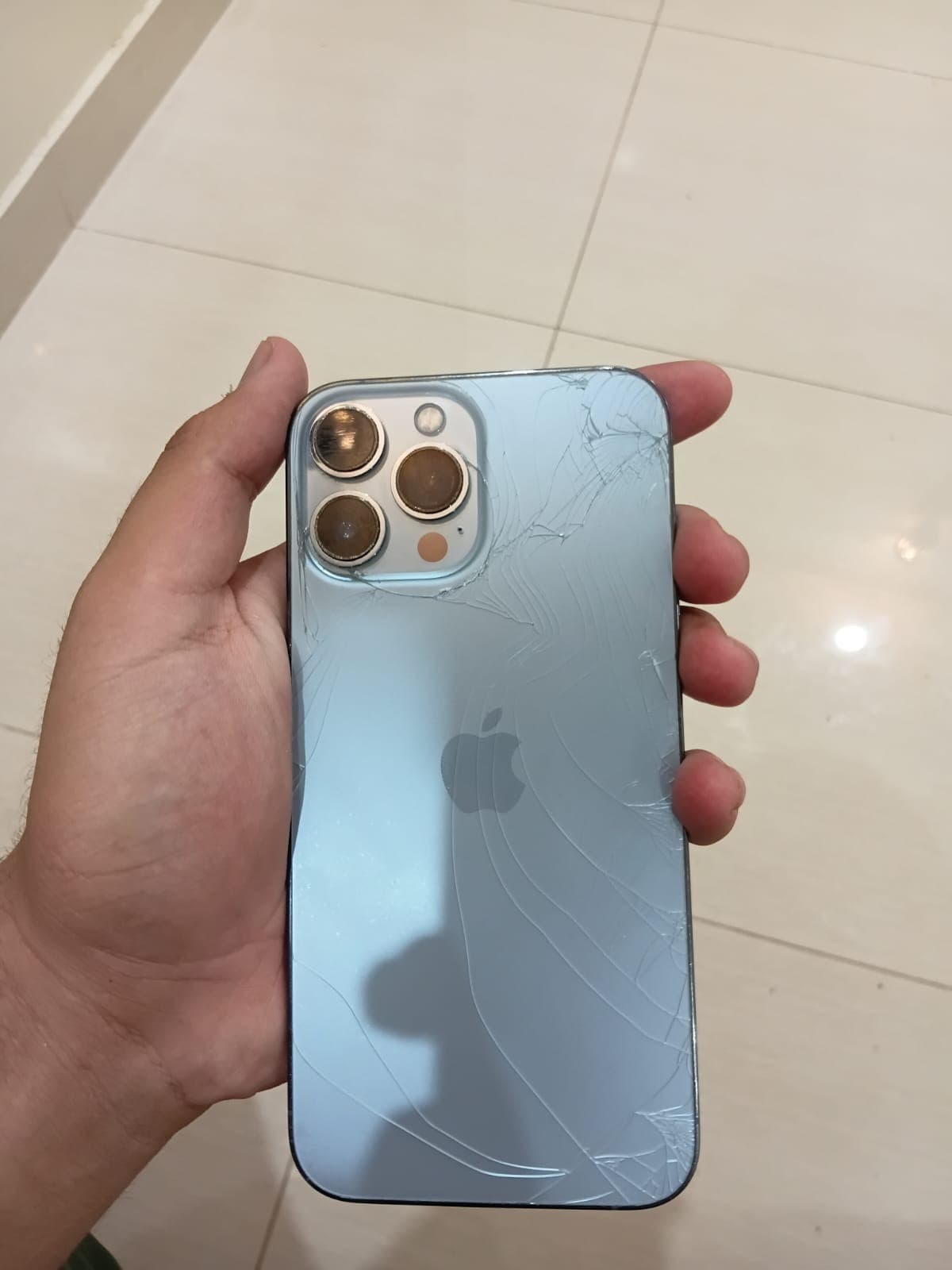 iPhone 13 Pro Max · 256GB