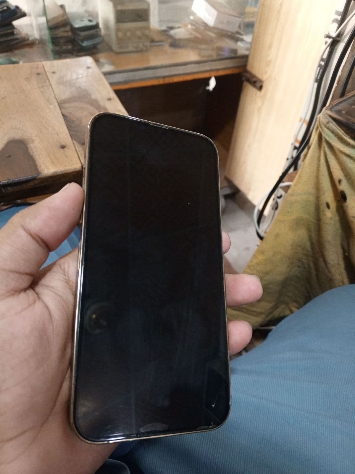 iPhone 13 Pro Max · 256GB