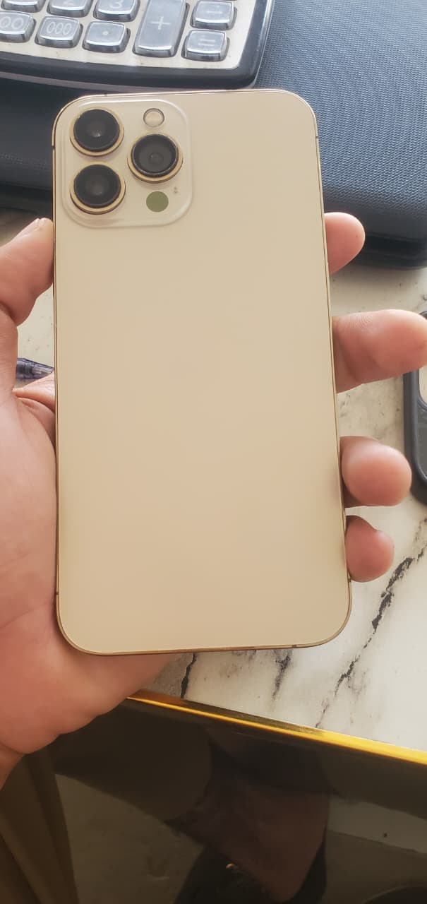 iPhone 13 Pro Max · 256GB