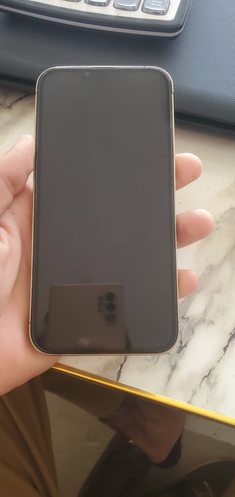 Apple iPhone 13 Pro Max 256GB in Gold — photo 2