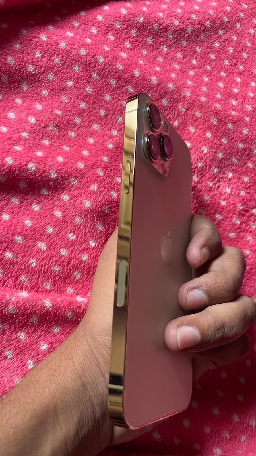 iPhone 13 Pro Max · 256GB